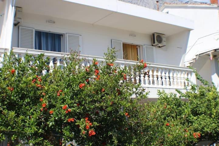Apartments Zika Promajna Exterior photo